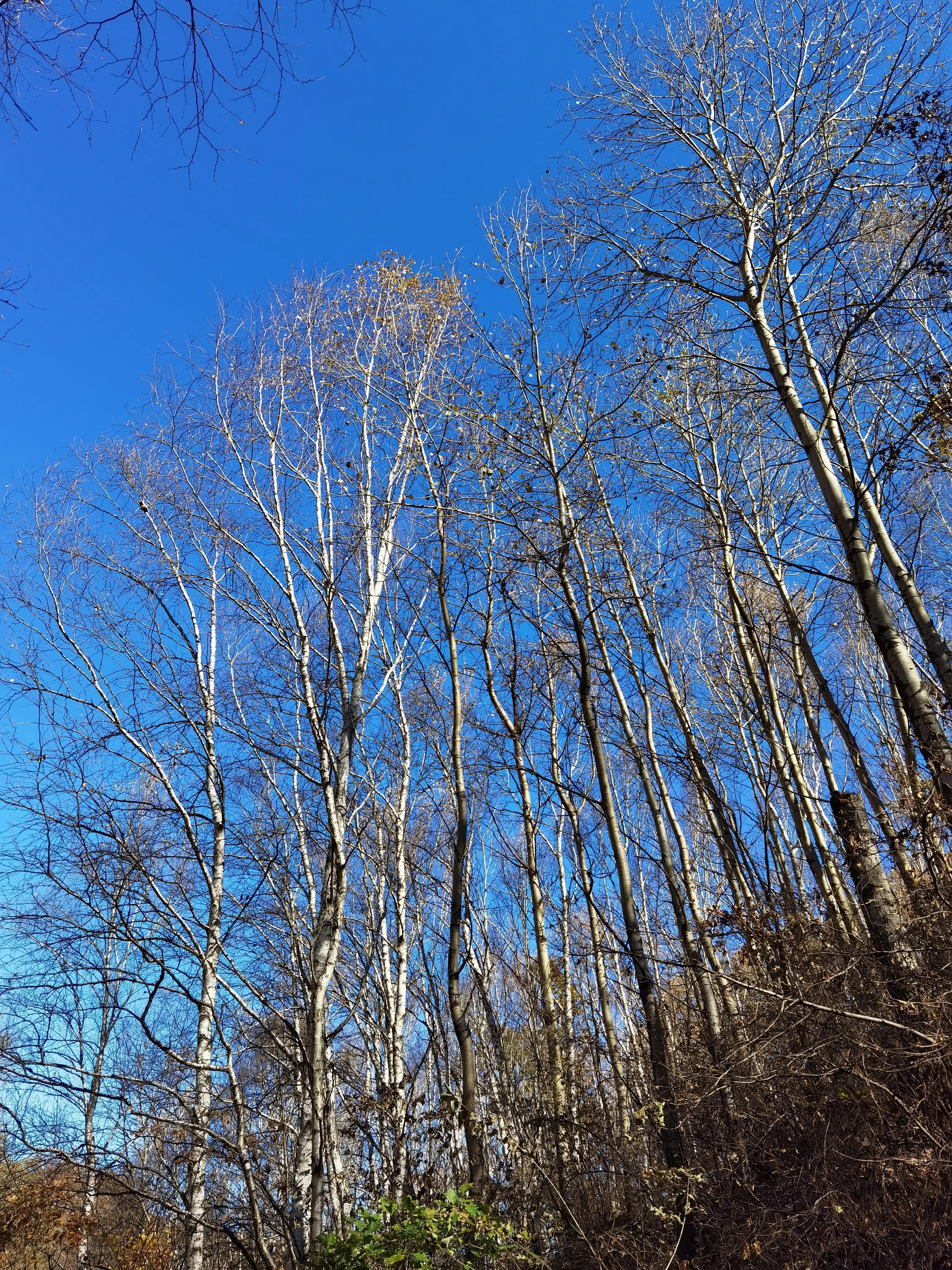 怀柔喇叭沟门原始森林2日自驾游,怀柔喇叭沟门原始森林骑行