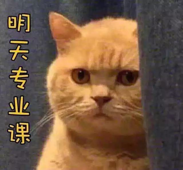 数学符号的分类及使用方法,数学符号大全100个