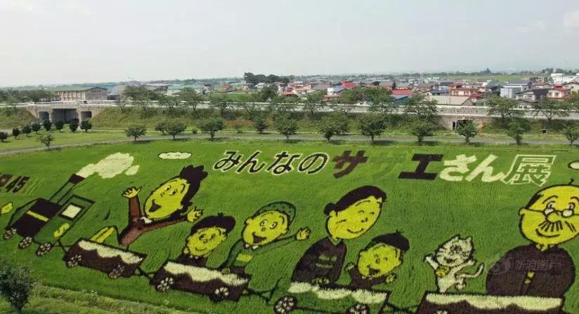 敬畏自然、超前思维、死磕单品，变态的日本农业留给我们的思考！