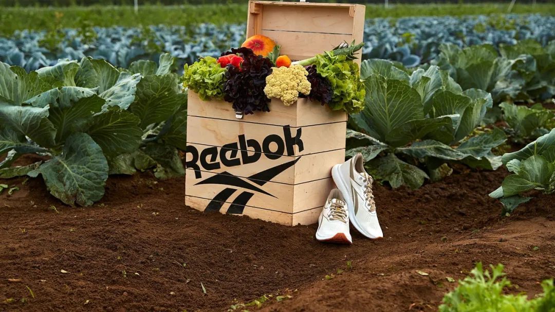 蕾哈娜菠萝纹的服装,蕾哈娜服装品牌