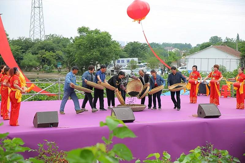 八方游客齐聚桑果紫酒节，共赴这场采桑品酿盛会