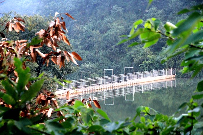 陕州区神泉中路金泉大酒店,陕州区神龙峡景区