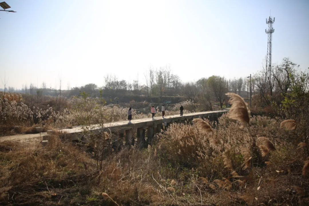 高密作协田野考察（三）乐者电子商务，迎乐科技发布