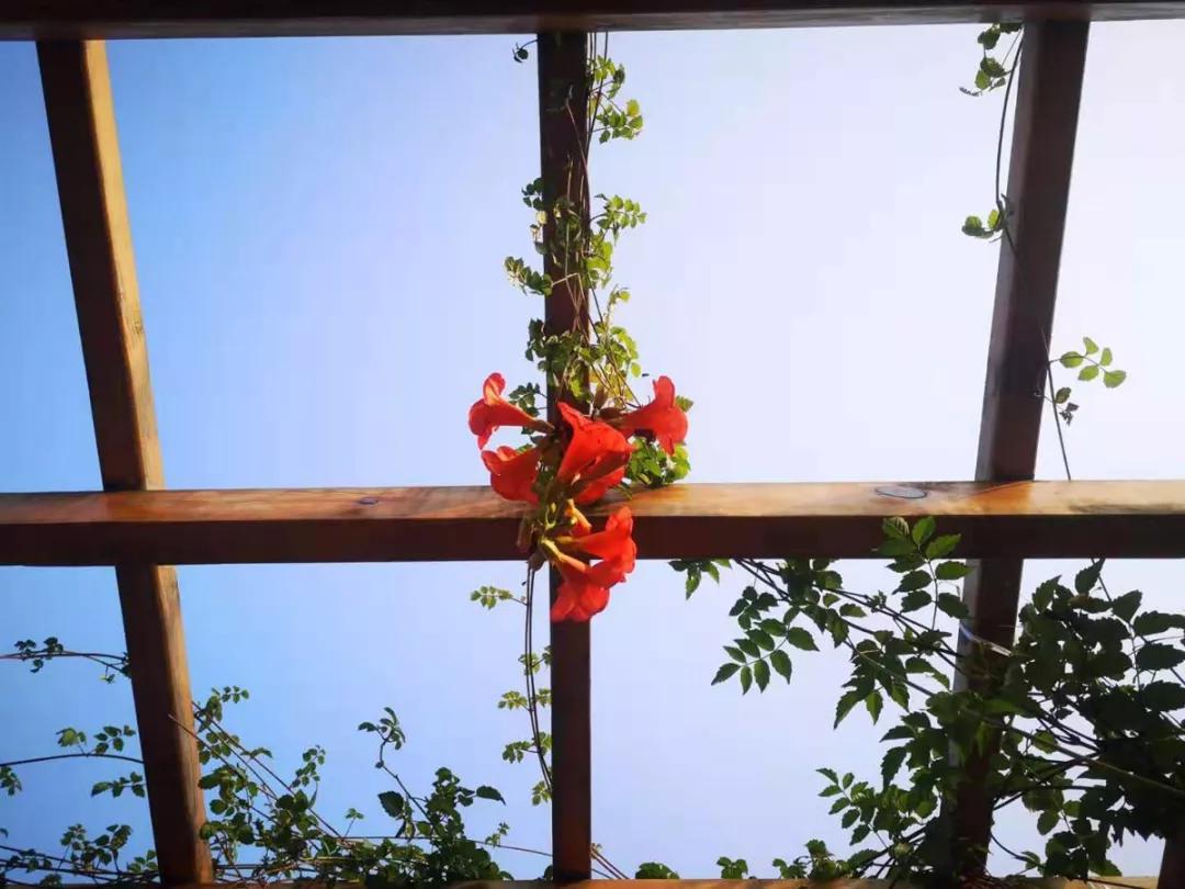 郑州101中学最新事件,郑州2019年20件大事