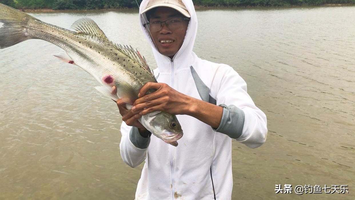 靠海钓捞鱼致富,海钓渔民一年能赚多少