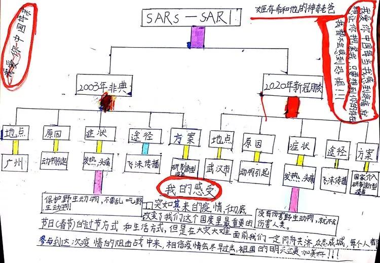 延期开学如何保持学习,延期开学在家怎么学习