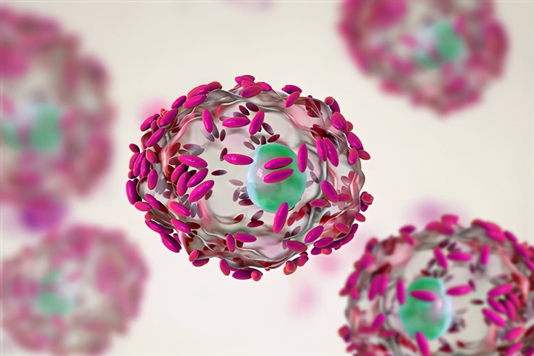 还有这种事儿？女性阴道特殊菌群能吃掉艾滋病药物