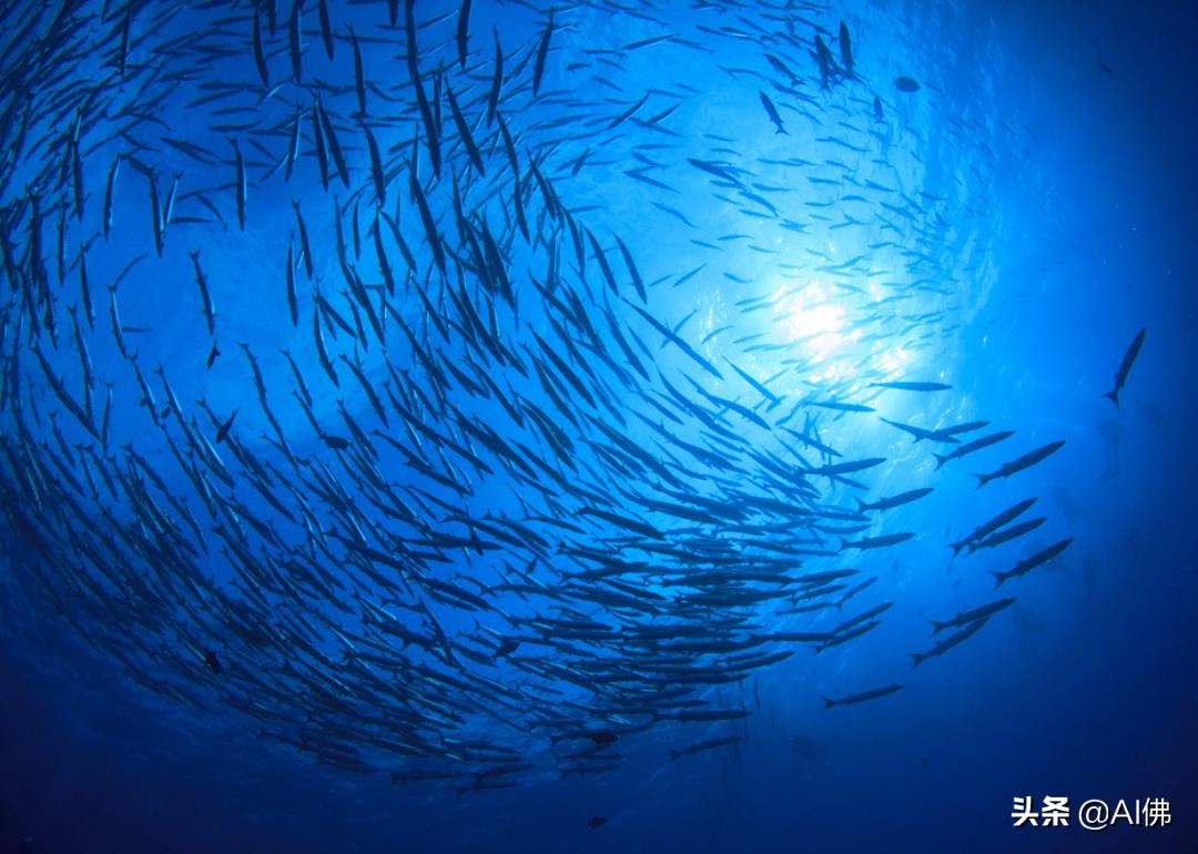 世界上最奇怪的海洋图片,世界各地的海洋照片