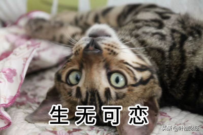 怒怼第三方催债,霸气回怼第三者