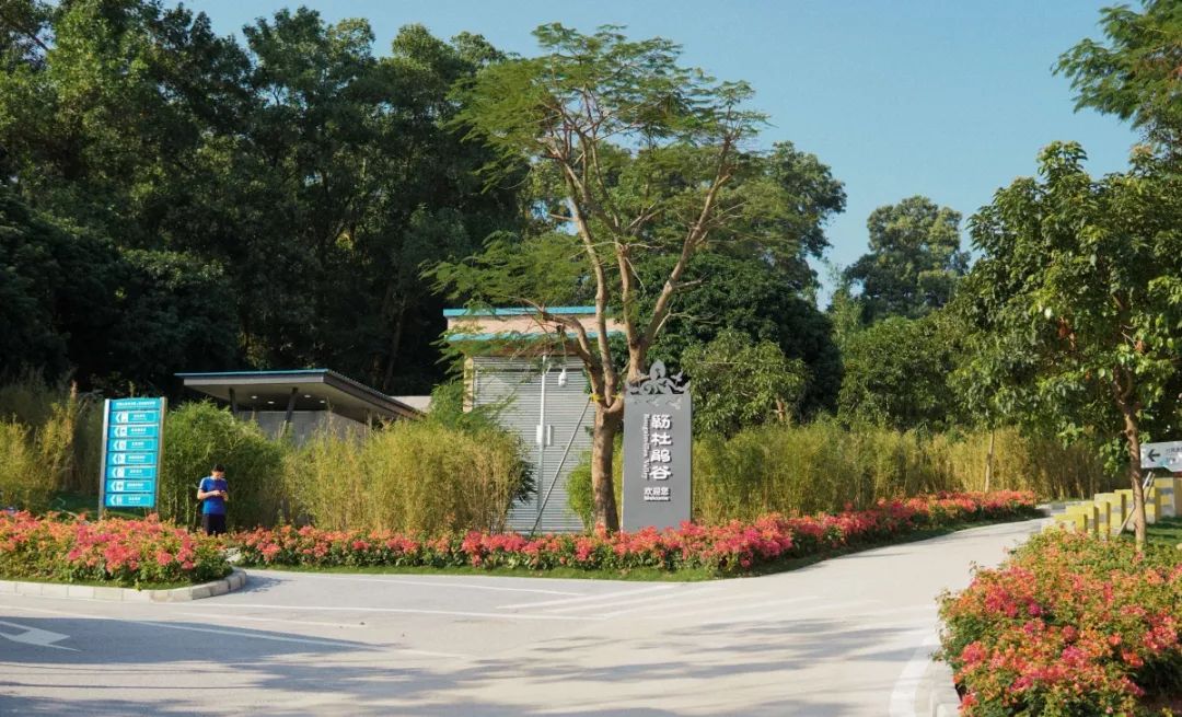 人少还免门票！深圳这片5000000㎡新公园美翻了，“神仙花谷”