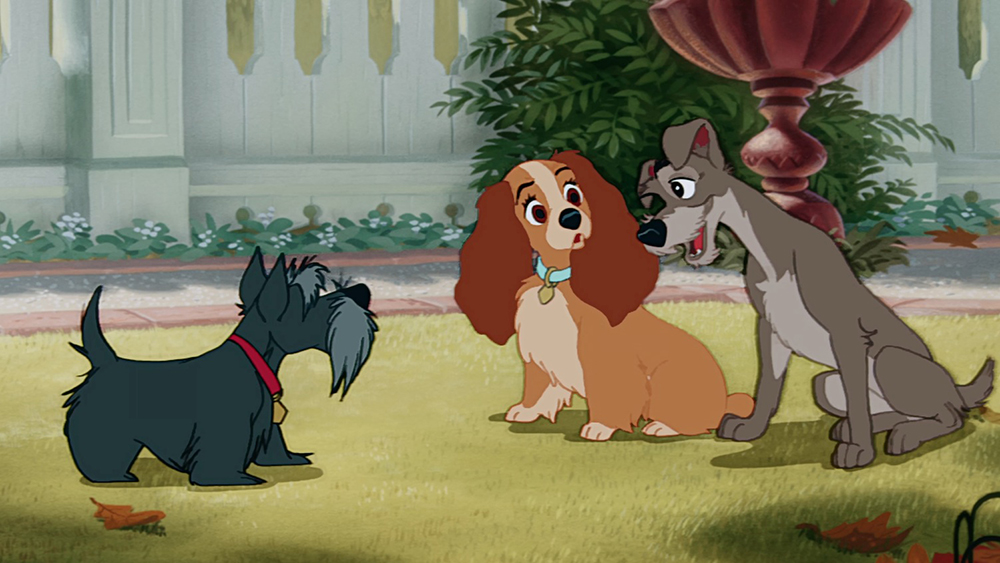 必看的美食电影,吃货必看动画片段