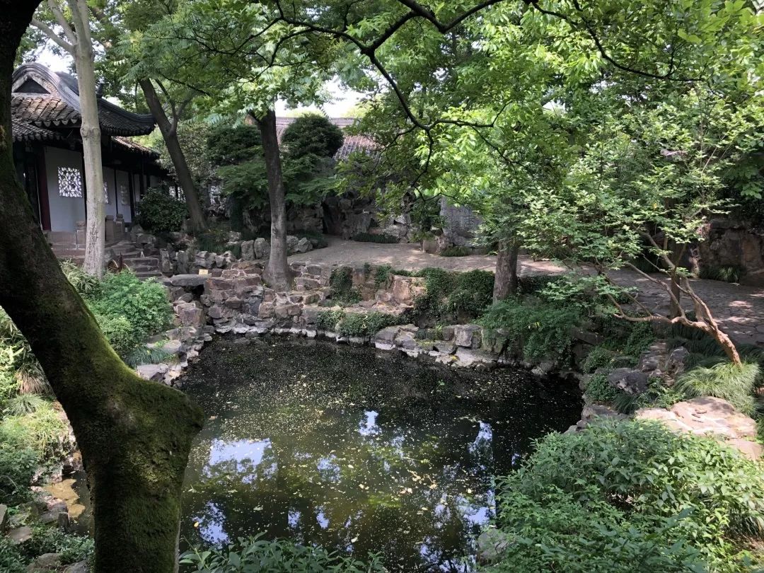 苏州古典园林沧浪亭介绍 (苏州沧浪亭园林图片)