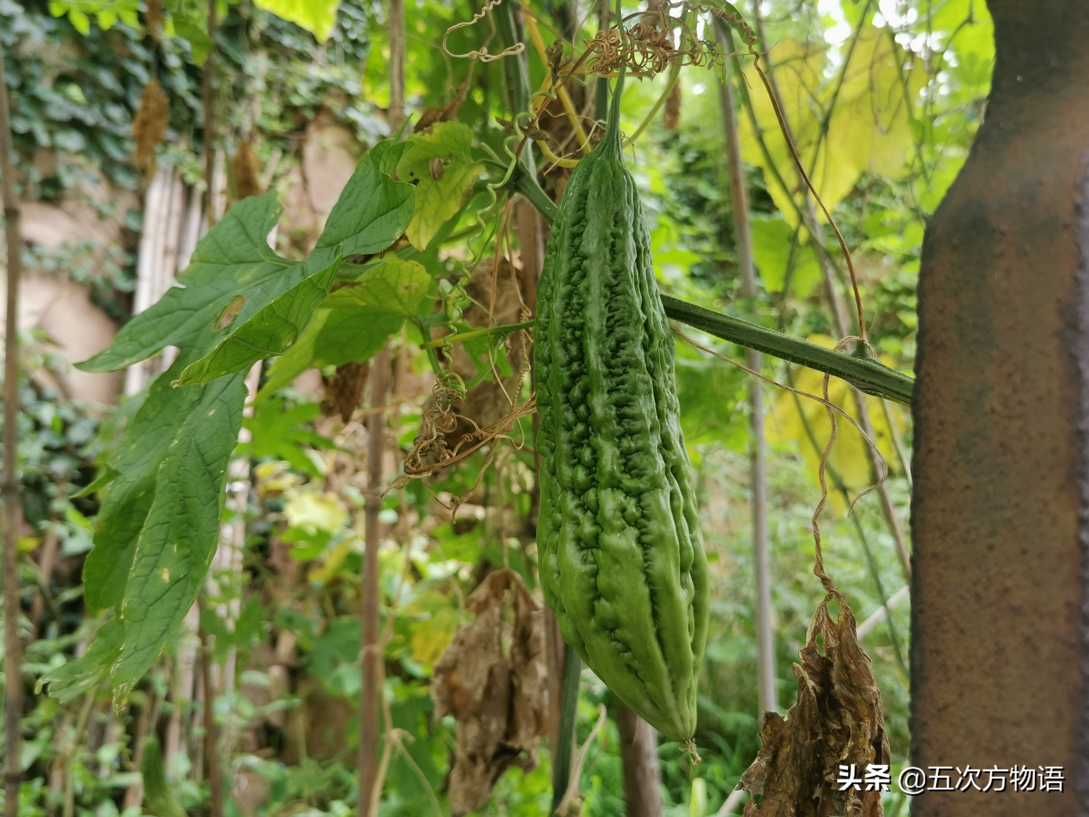 不管你承认与否,不管你承认不承认生活都得继续