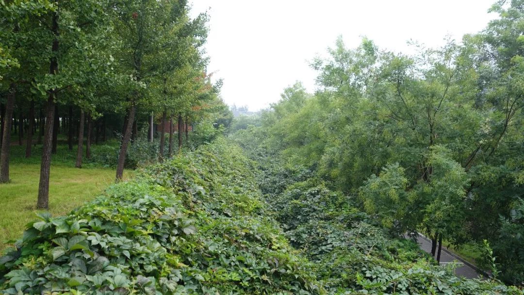 石家庄周边度假酒店,石家庄周边最好的度假酒店