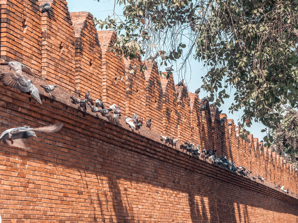 去清迈度假享受片刻的宁静,12月的清迈