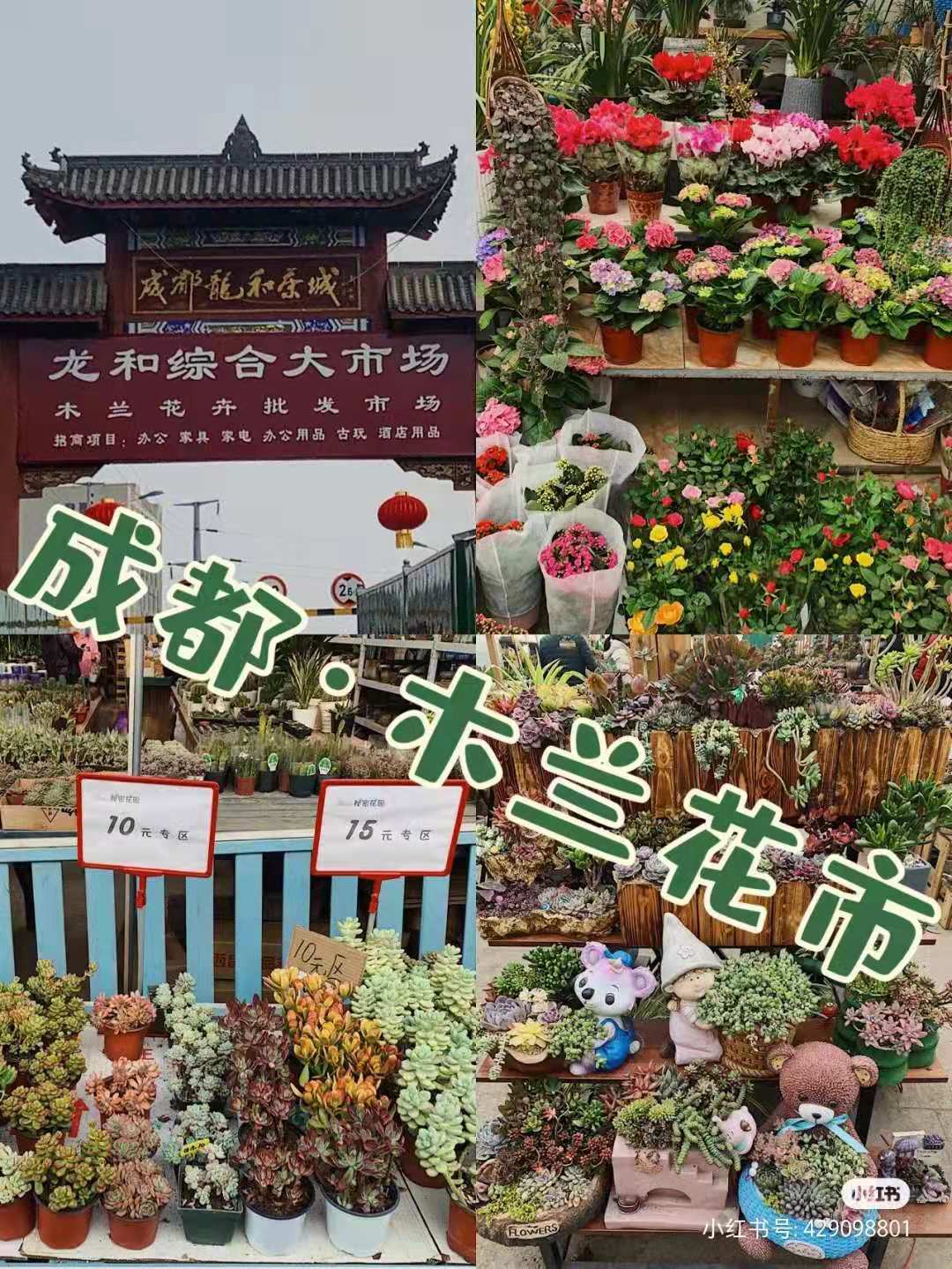成都的花市批发市场在哪里,成都花市合集