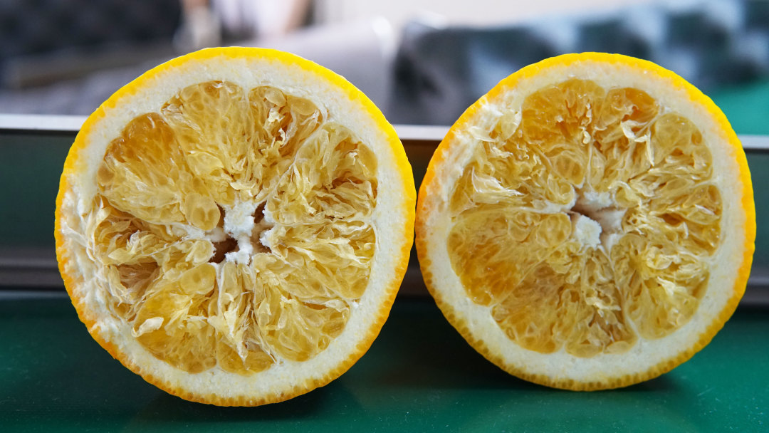 橙子干水了,橙子里面干水是什么原因