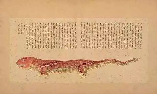 清代海错图有用吗,故宫海错图展