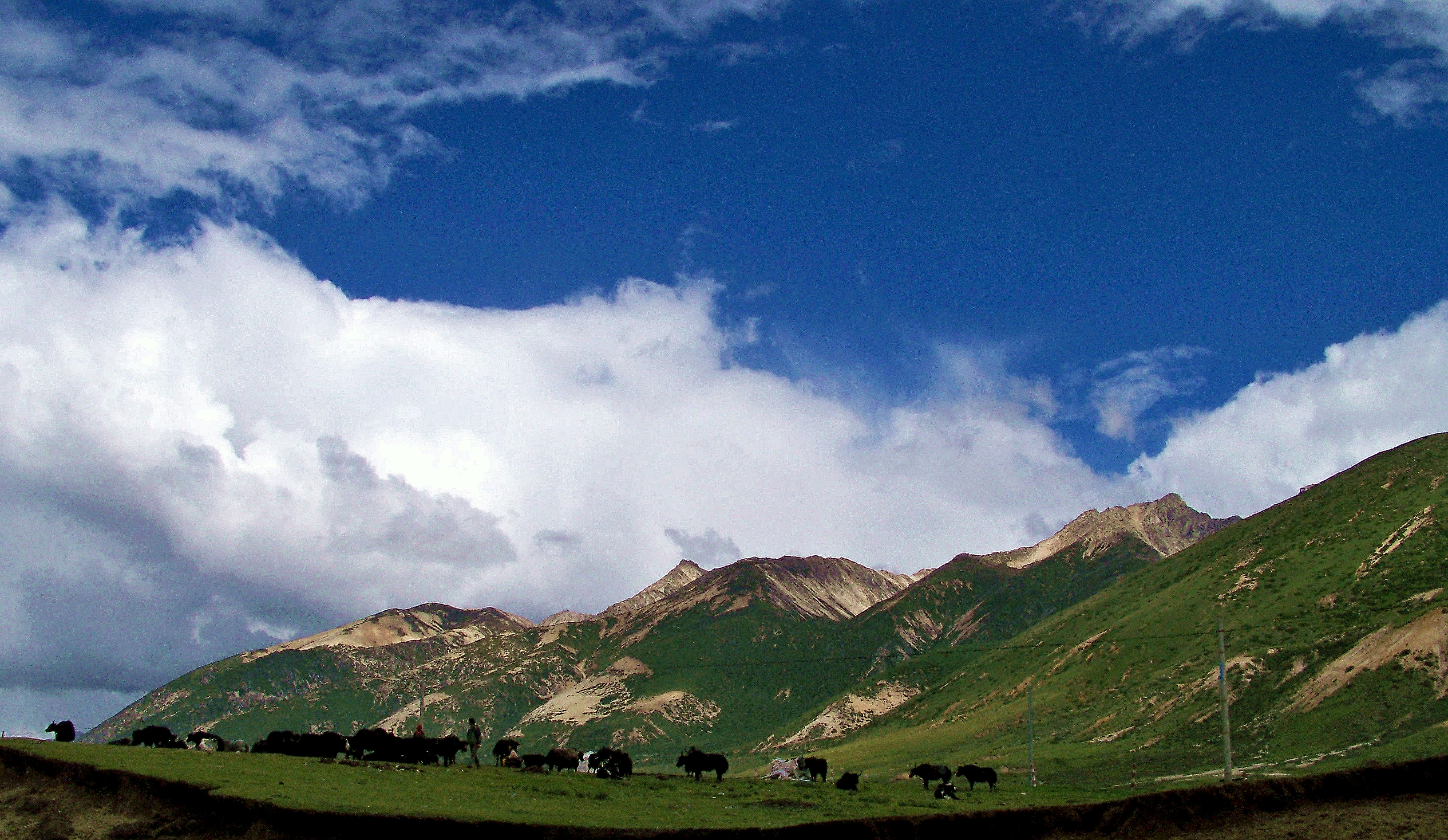 （一）我的藏地明码：九年前烂路相伴的G318；15天川进青出甘南回