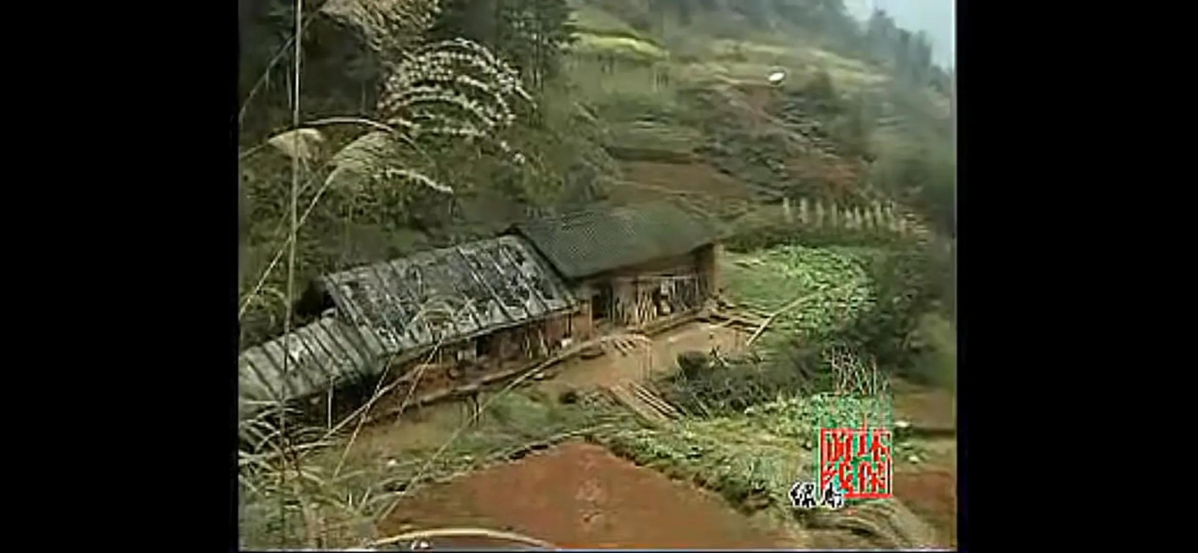 隐居深山40年的姐弟恋,姐弟恋40年隐居深山