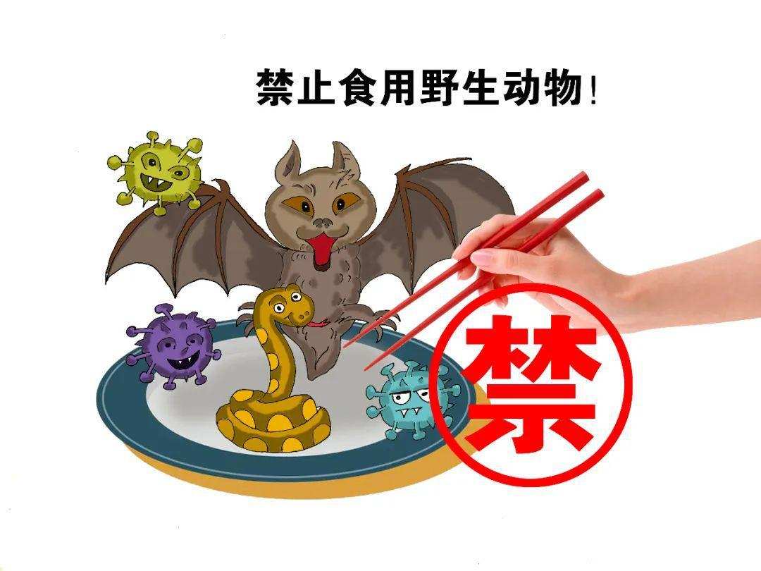 羊肉补肾生精吗,羊肉能提高精子活动力吗