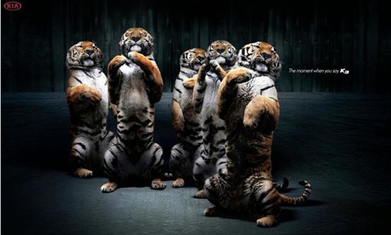 稀有超跑车,稀有豪华跑车