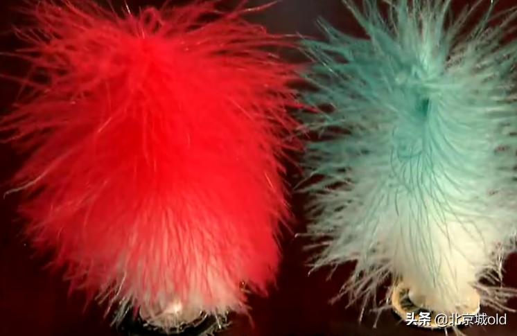 京城残手毽王小斗儿，身怀绝技不称王，其实这就是北京精神