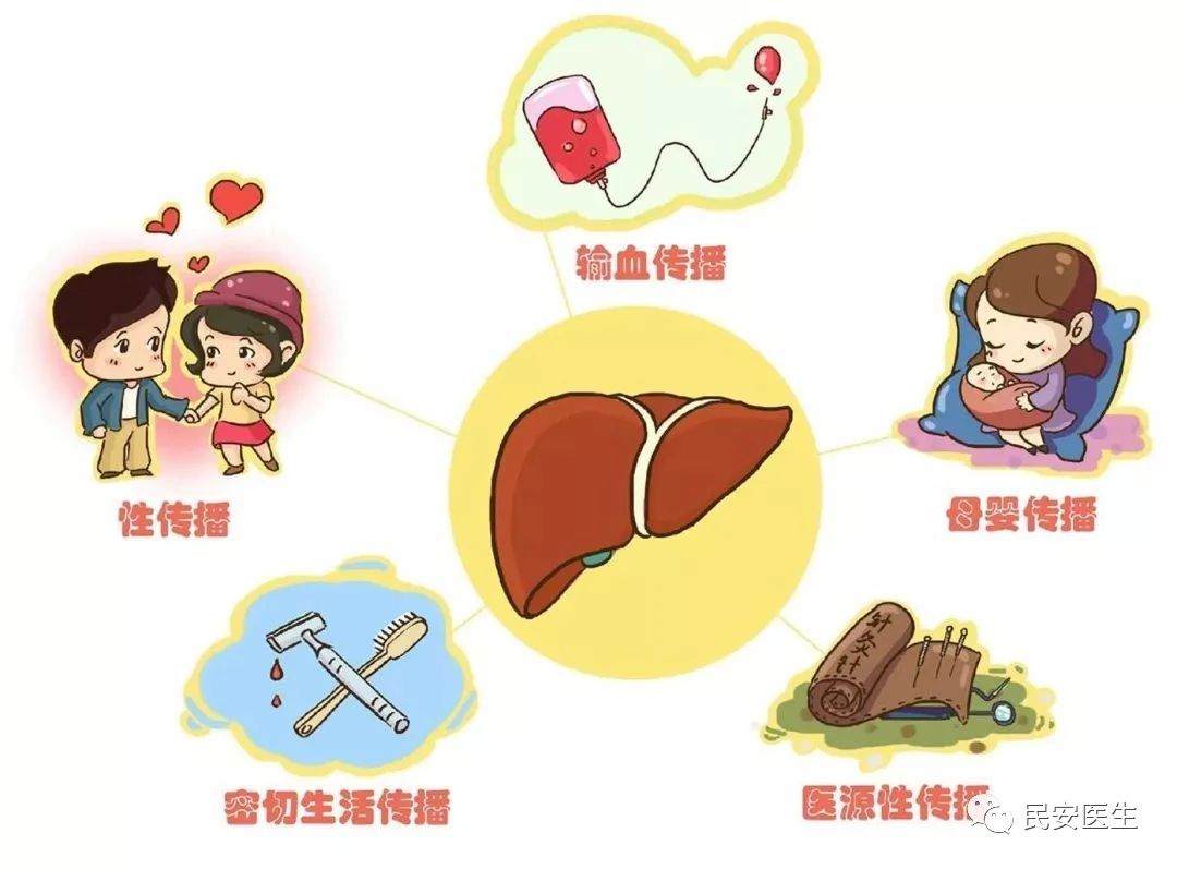 怎么和乙肝病人共处,怎么跟有乙肝的人接触不会传染