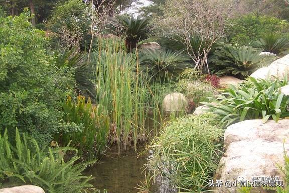 住宅小区植物配置方案,植物种植小技巧一览表图