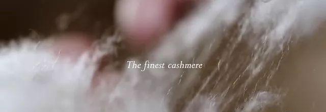 鍖呯鏃ヨ鍏ㄩ泦瑙ｈ,鍖呯鏃ヨ鎺ㄨ崘