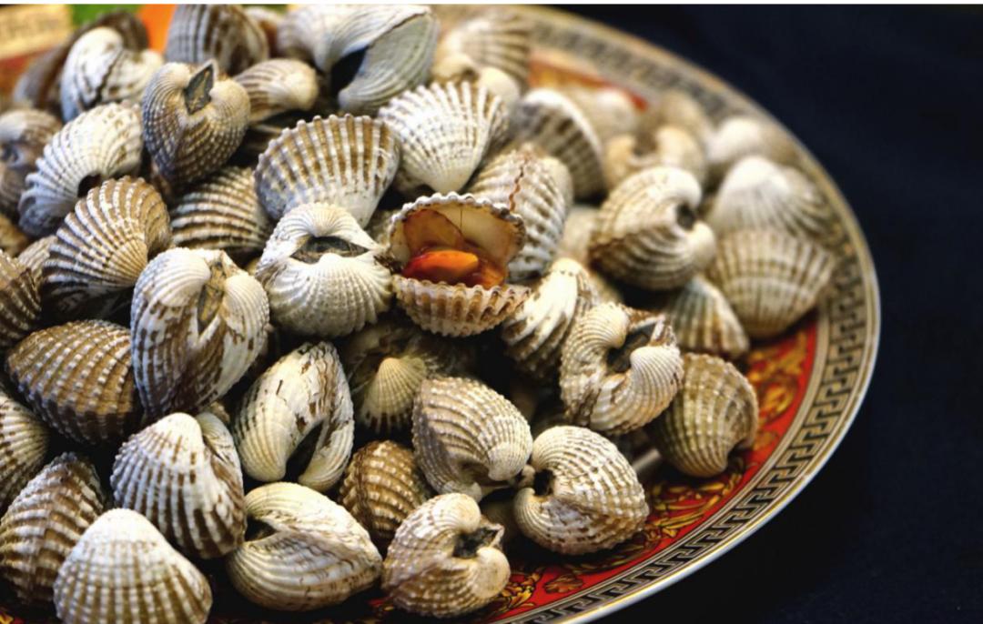 蛤蜊蚶子蛏子区别,蛏子海螺牡蛎蛤蜊