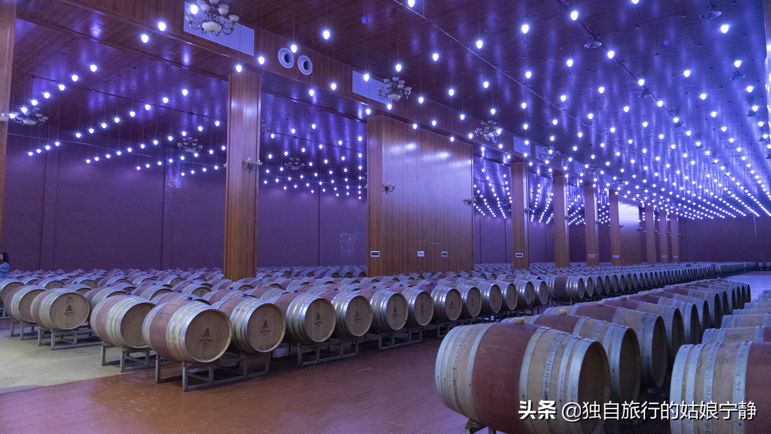 宁夏酒庄参观推荐,宁夏葡萄酒排行榜前十名酒庄