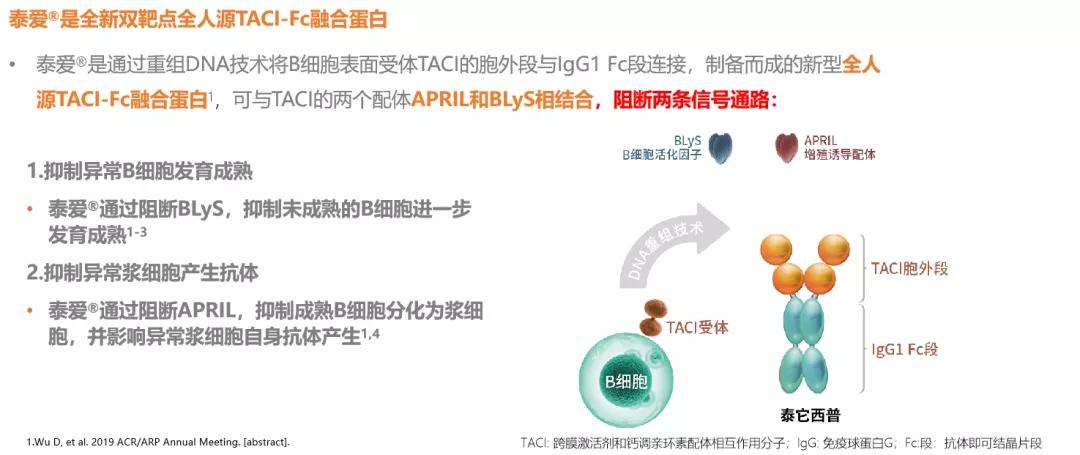 免疫紊乱和血液有关系吗,免疫系统紊乱和狼疮一样么