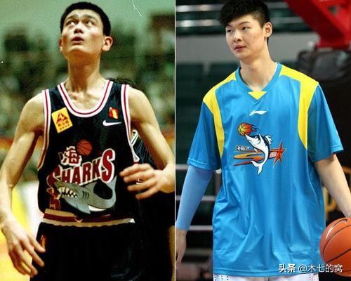 姚明对王哲林看法,王哲林生涯初期