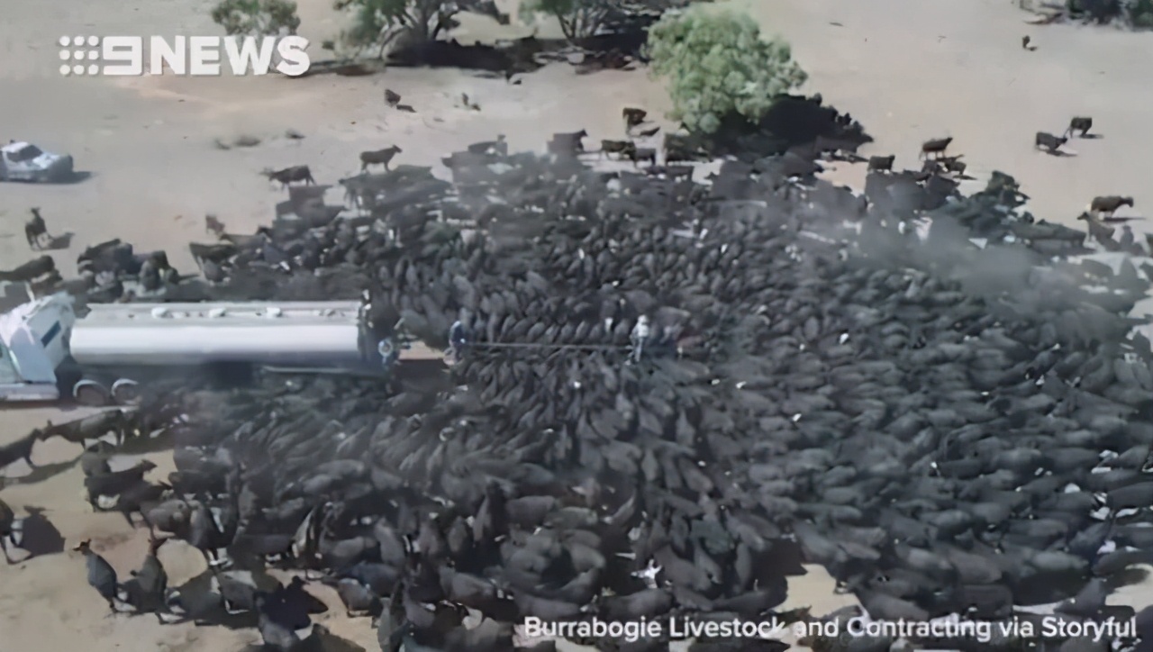 澳大利亚有大湖和大河吗,澳洲没有大河大湖