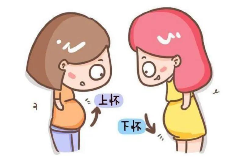 上怀下怀跟胎位有什么关系吗,上怀下怀哪个容易胎位不正