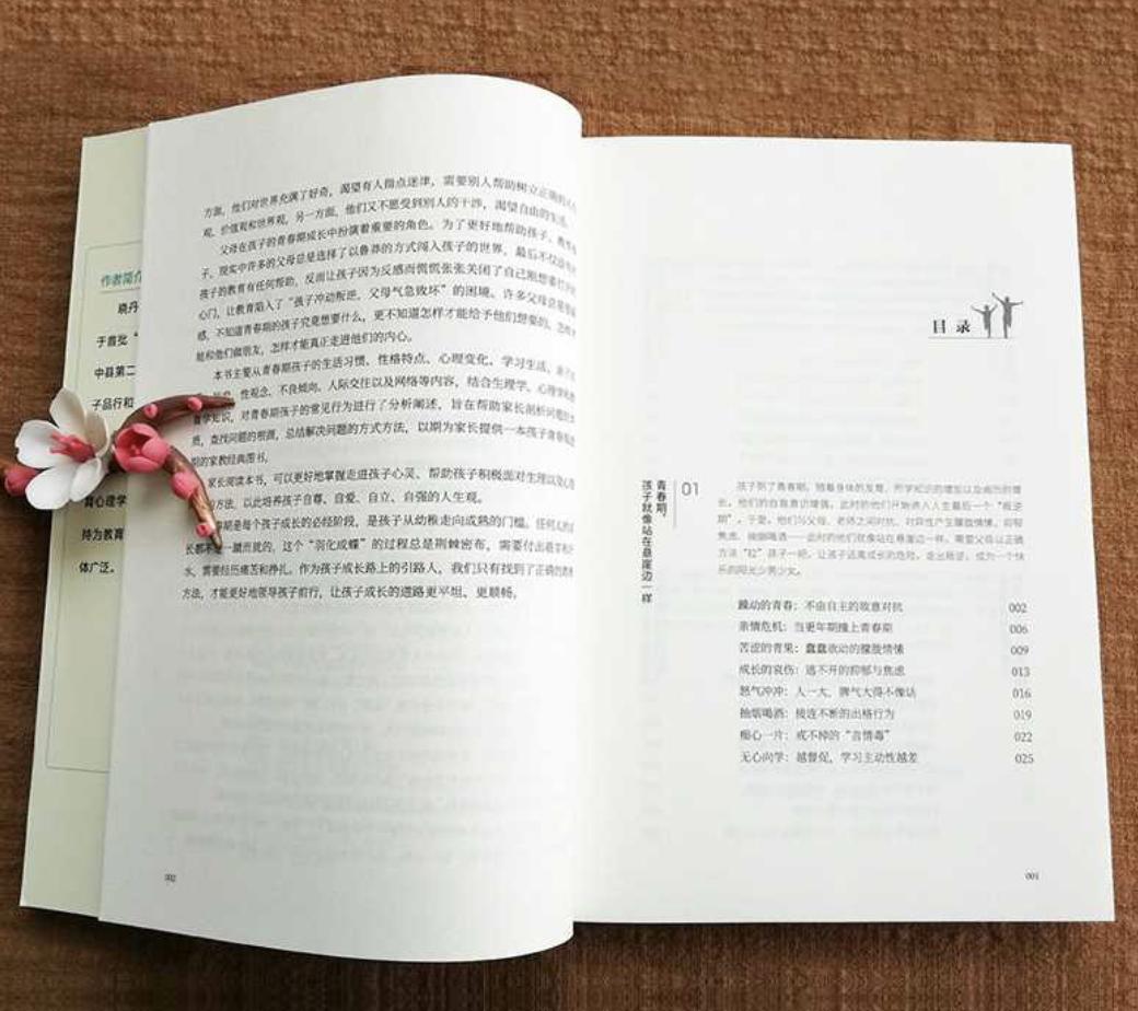 孩子到了仇亲期怎么办,仇亲期的孩子怎么纠正