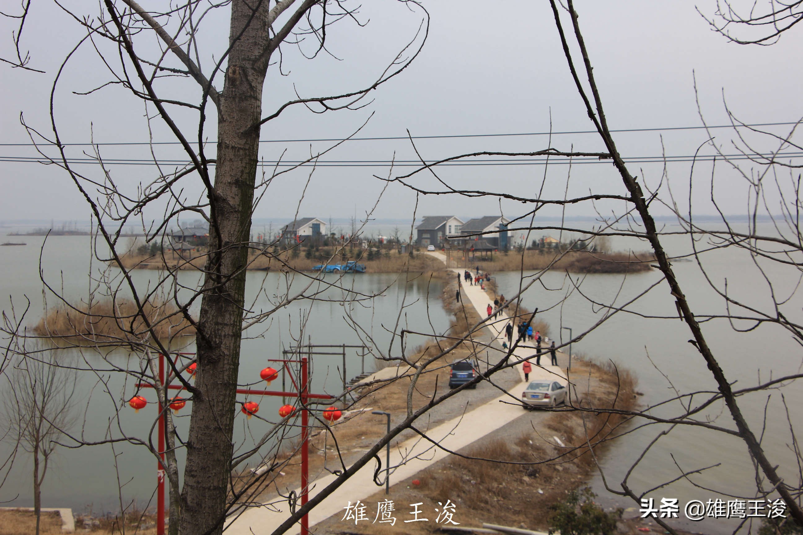 山东县城未来有什么发展,山东平原新区有发展前景吗