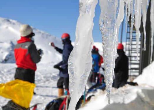 新西兰必买十大东西,新西兰特产必买的东西有哪些