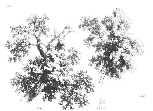 中学生20分钟风景速写临摹图片,速写风景怎么画得又快又好