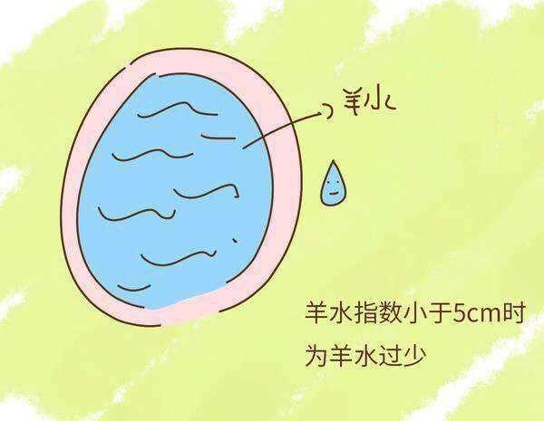 当羊水过少,胎儿要如何安全待在子宫里?