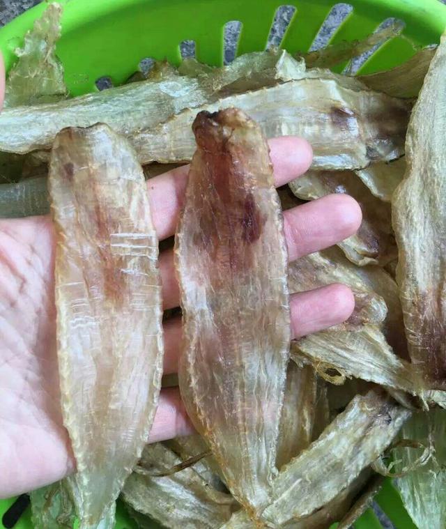 海陵岛闸坡渔港,海陵岛闸坡世界级渔港码头