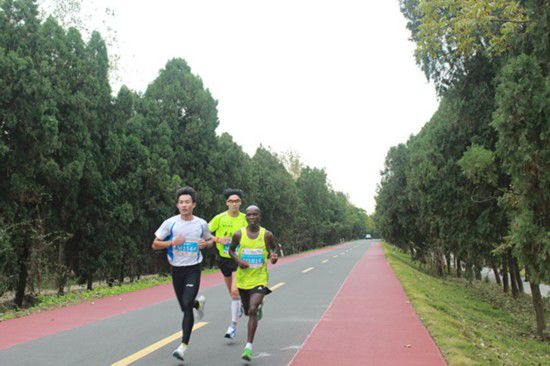 新手半程马拉松训练方法和技巧,半程马拉松训练的正确方法
