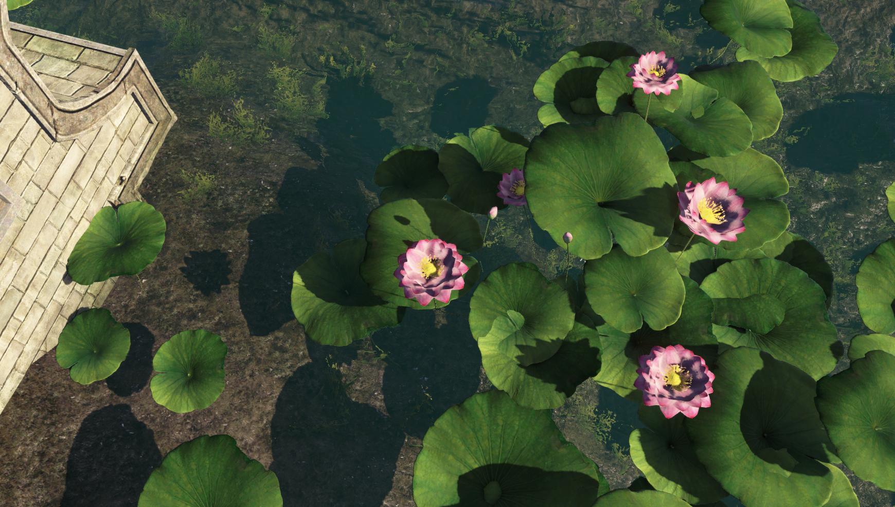 天刀ol劝退萌新,天刀一飞冲天劝退新手