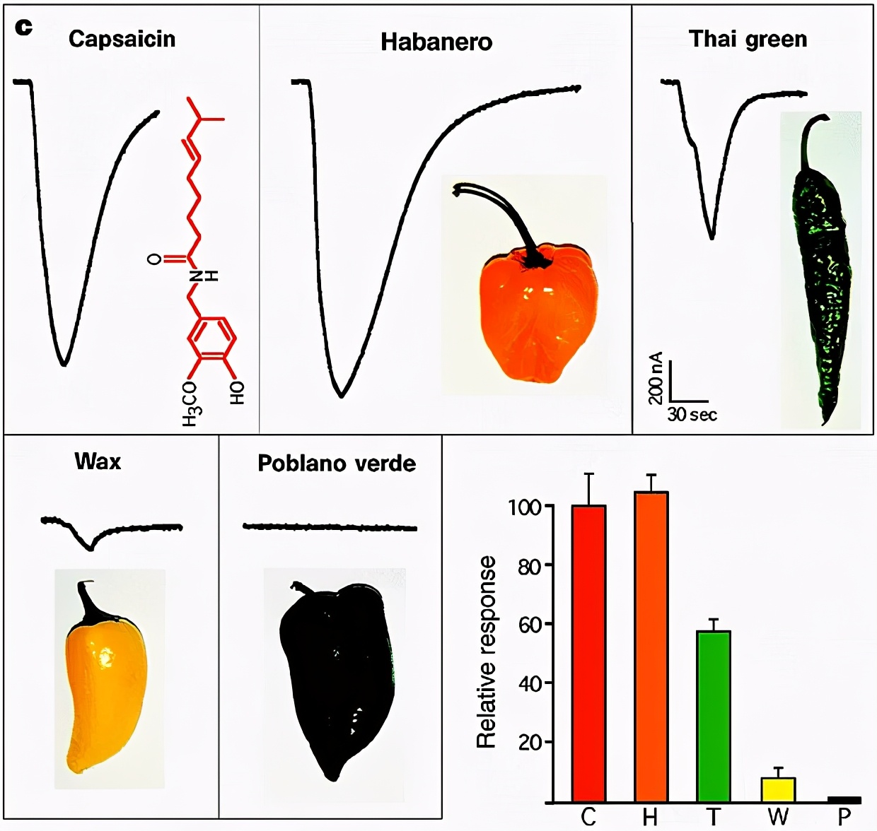 解辣喝什么最好,什么饮料最解辣