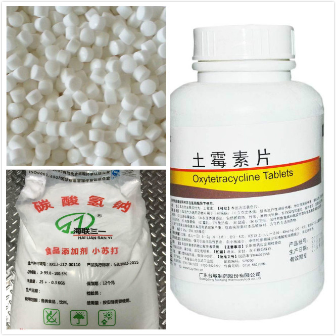 饲养的孔雀鱼摇头晃脑时，就要注意了，可能是感染的水霉病！