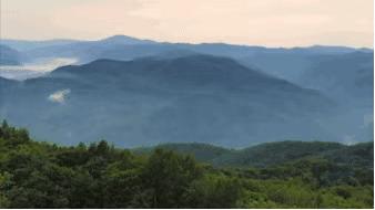 清肝火排肝毒拿什么泡水喝,清肝火排肝毒吃什么中药煮水