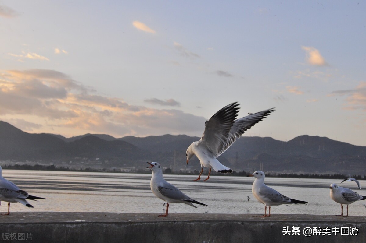 五一昆明周边游玩景点推荐亲子,五一昆明周边游玩景点推荐便宜