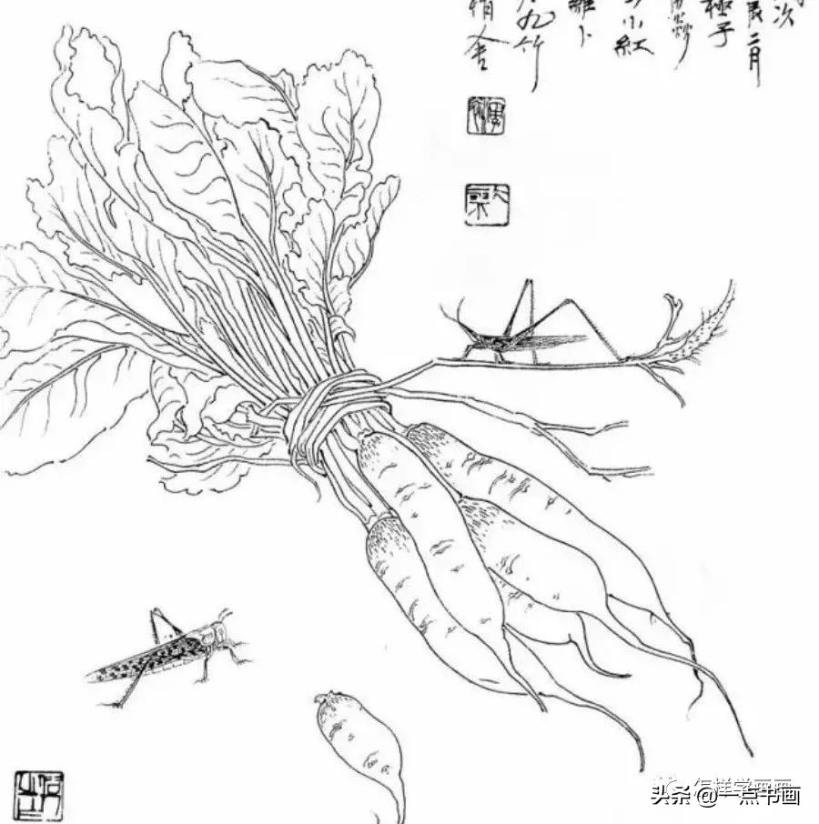 工笔画先勾线还是后勾线,工笔画先勾线还是绷绢后勾线