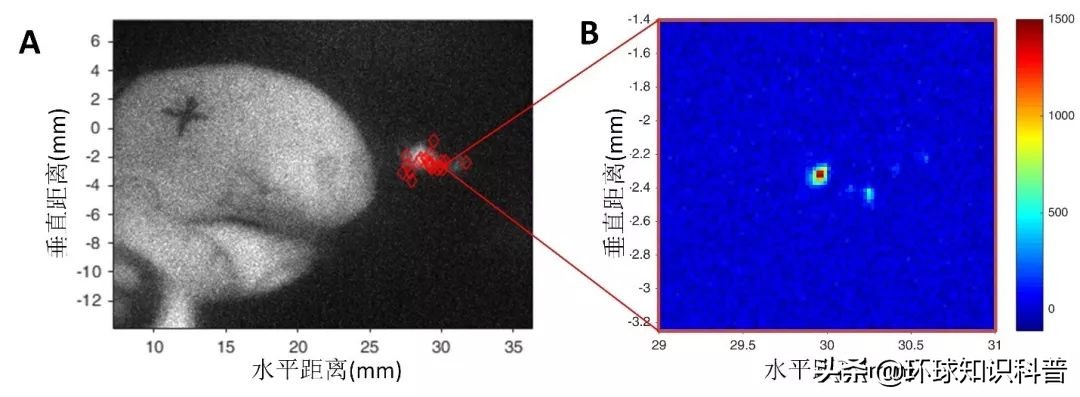 「科普」这种小虾能“袭击”军舰，我们成功缴获了它的*器武**
